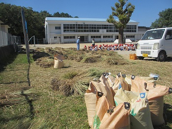 Img_1713_2 Img_1713_2