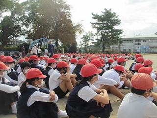 Img_1190 Img_1190