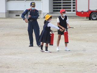 Img_1194 Img_1194