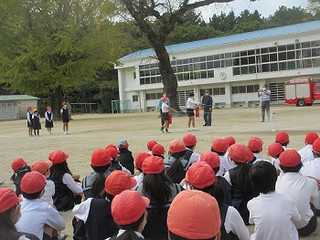 Img_1196 Img_1196